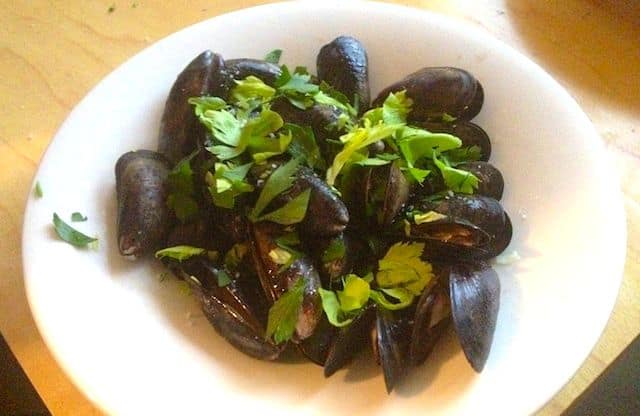 Mussels_8150